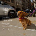 GripBraid Leash Set – Braided Collar & Leash For Strong Walk Control