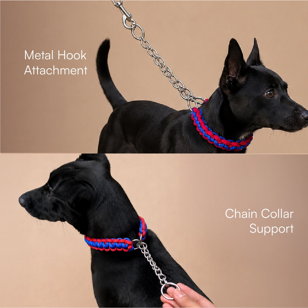 GripBraid Leash Set – Braided Collar & Leash For Strong Walk Control