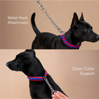 GripBraid Leash Set – Braided Collar & Leash For Strong Walk Control