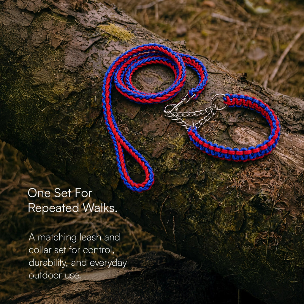 GripBraid Leash Set – Braided Collar & Leash For Strong Walk Control