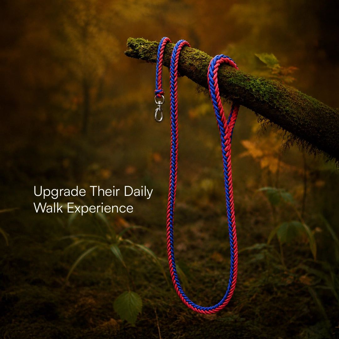 GripBraid Leash Set – Braided Collar & Leash For Strong Walk Control
