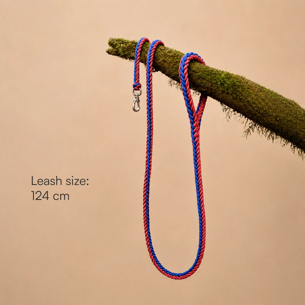 GripBraid Leash Set – Braided Collar & Leash For Strong Walk Control