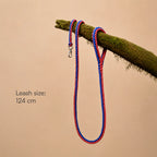 GripBraid Leash Set – Braided Collar & Leash For Strong Walk Control