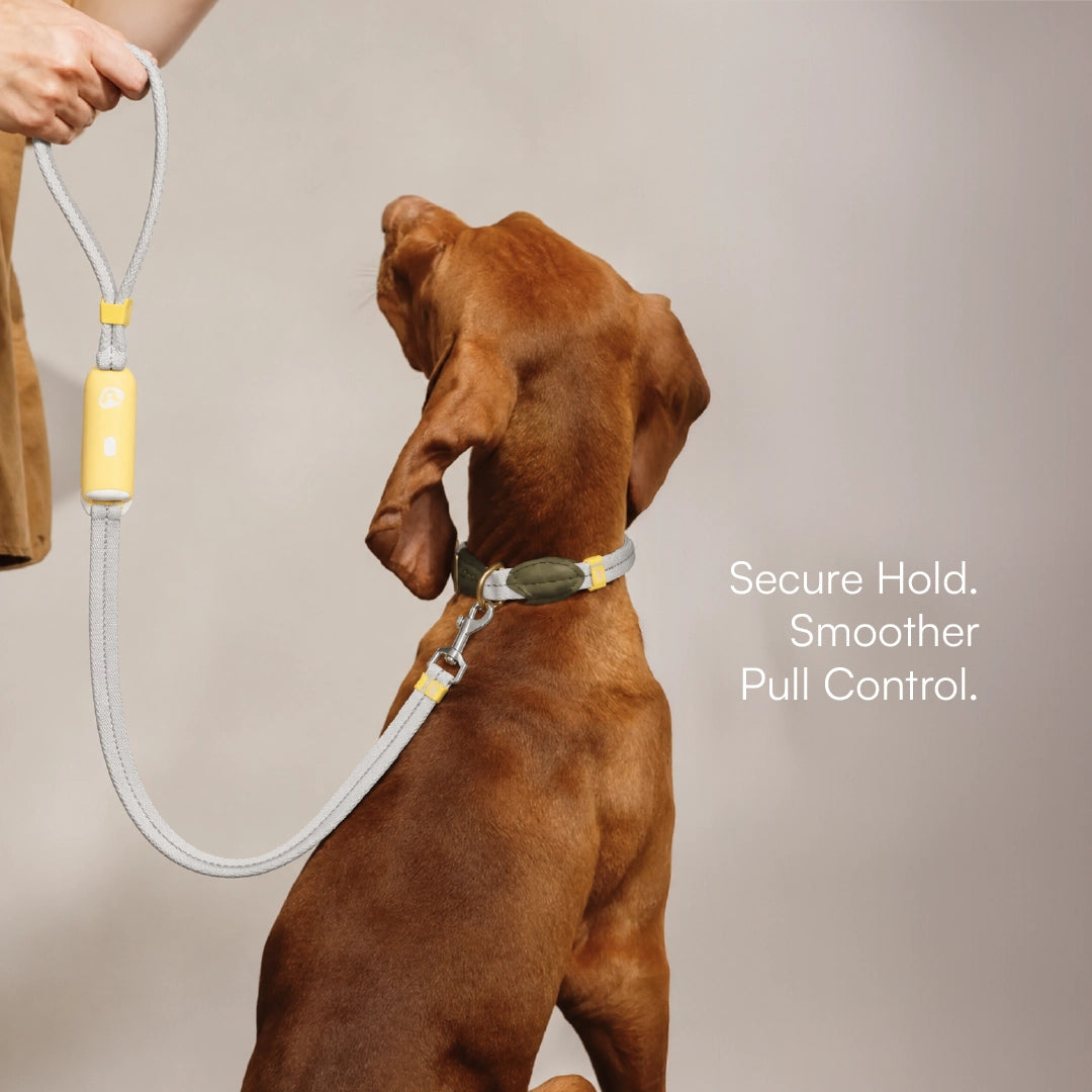 GripLock Leash | Secure Wrist Hold & Quick Release Control