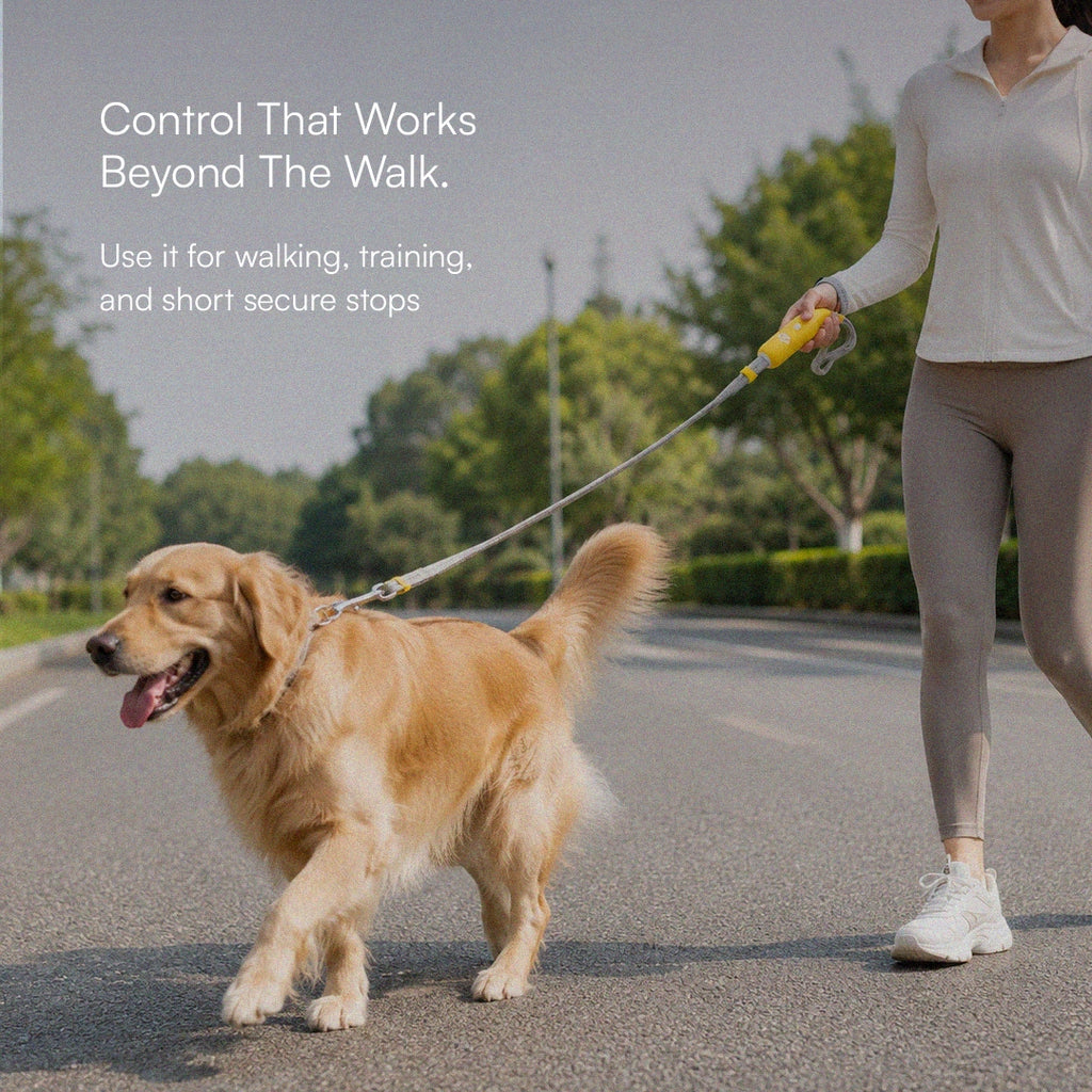 GripLock Leash | Secure Wrist Hold & Quick Release Control