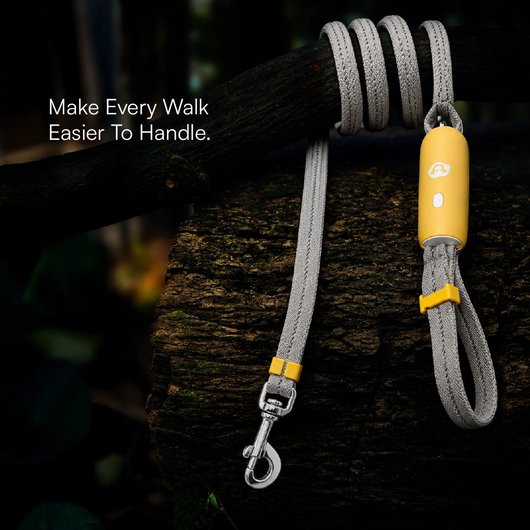 GripLock Leash | Secure Wrist Hold & Quick Release Control