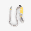GripLock Leash