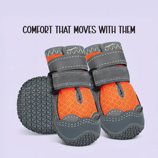 Gripster Shoes | Anti-Slip Paw Protection | Comfort & Safety in Every Step