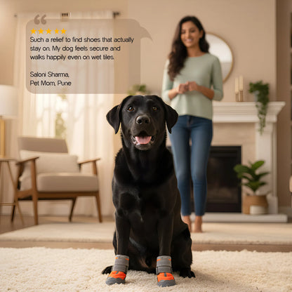 Gripster Shoes | Anti-Slip Paw Protection | Comfort & Safety in Every Step