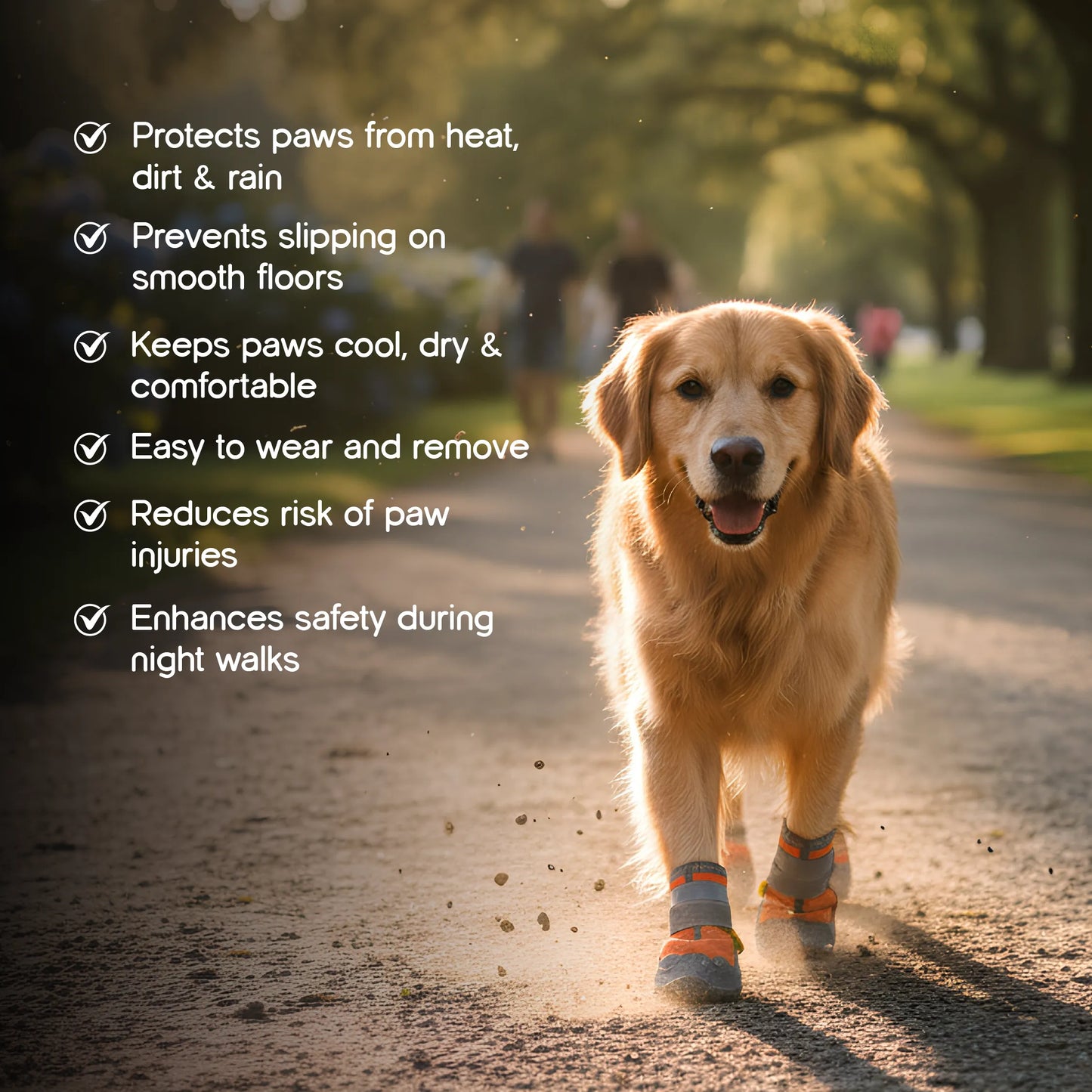 Gripster Shoes | Anti-Slip Paw Protection | Comfort & Safety in Every Step