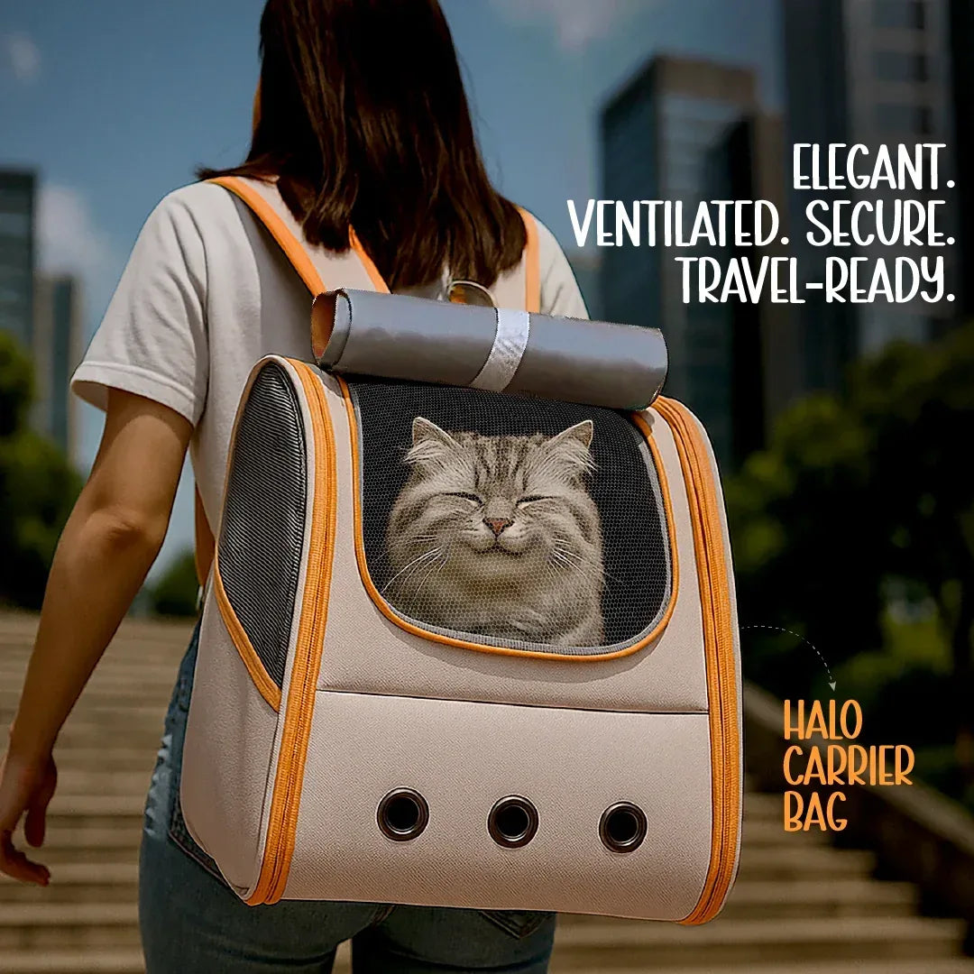 Halo Pet Carrier Bag - Breathable Ventilation, Lightweight Travel Carrier for Small Dogs & Cats| Comfortable & Secure Transport| Upto 7 kgs - Tilting Heads