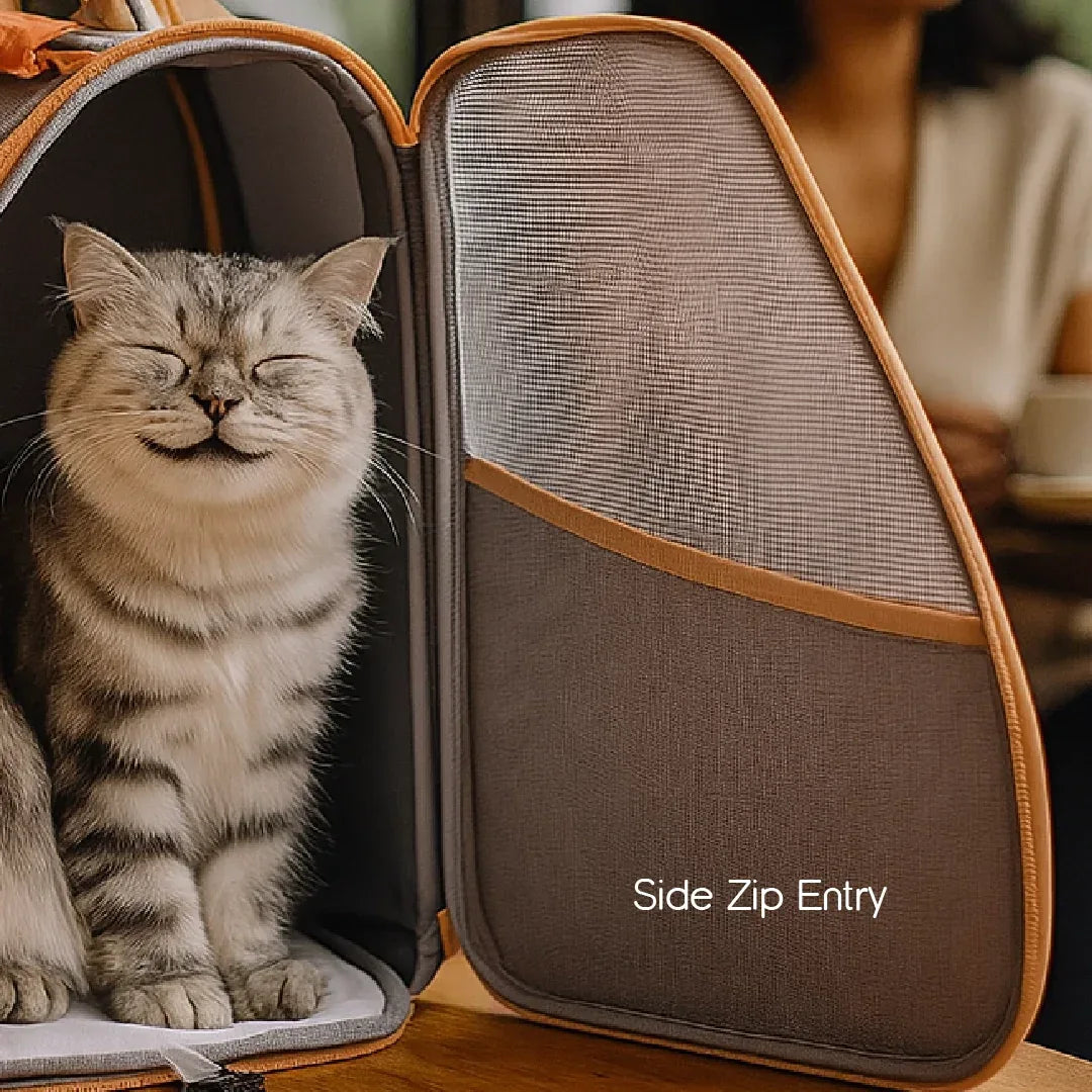 Halo Pet Carrier Bag - Breathable Ventilation, Lightweight Travel Carrier for Small Dogs & Cats| Comfortable & Secure Transport| Upto 7 kgs - Tilting Heads