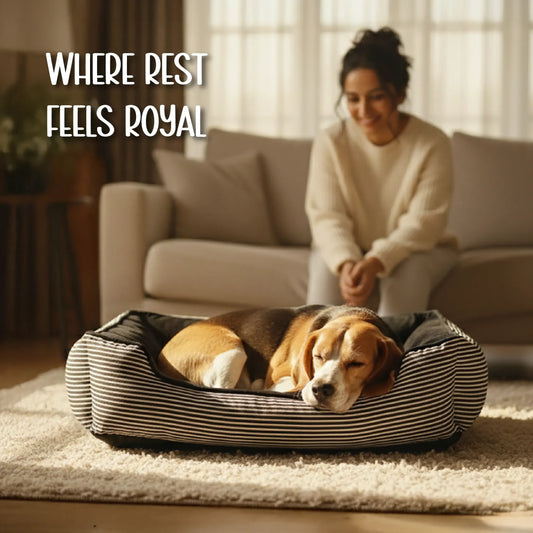 Havana Bed | Ultra-Soft Velvet Pet Bed | Washable, Non-Slip & Perfect for Everyday Snuggles - Tilting Heads
