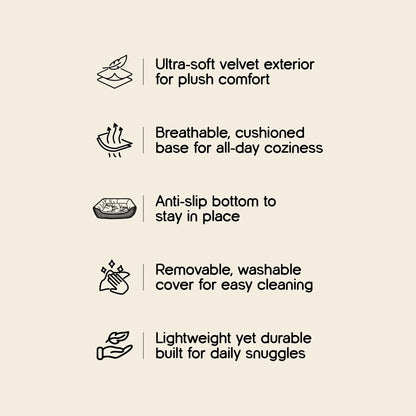 Havana Bed | Ultra-Soft Velvet Pet Bed | Washable, Non-Slip & Perfect for Everyday Snuggles - Tilting Heads