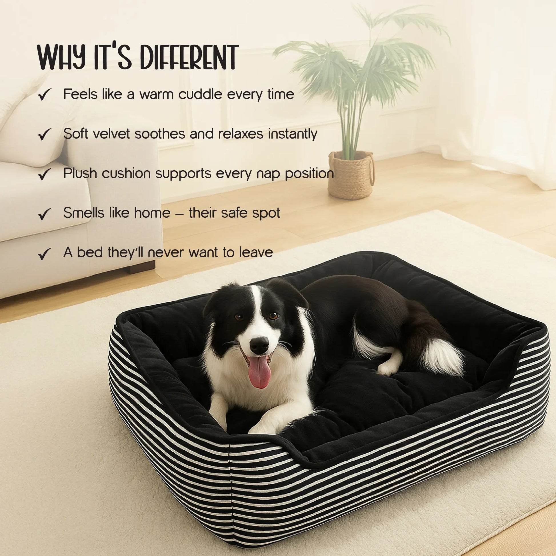 Havana Bed | Ultra-Soft Velvet Pet Bed | Washable, Non-Slip & Perfect for Everyday Snuggles - Tilting Heads
