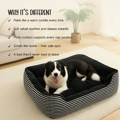 Havana Bed | Ultra-Soft Velvet Pet Bed | Washable, Non-Slip & Perfect for Everyday Snuggles - Tilting Heads