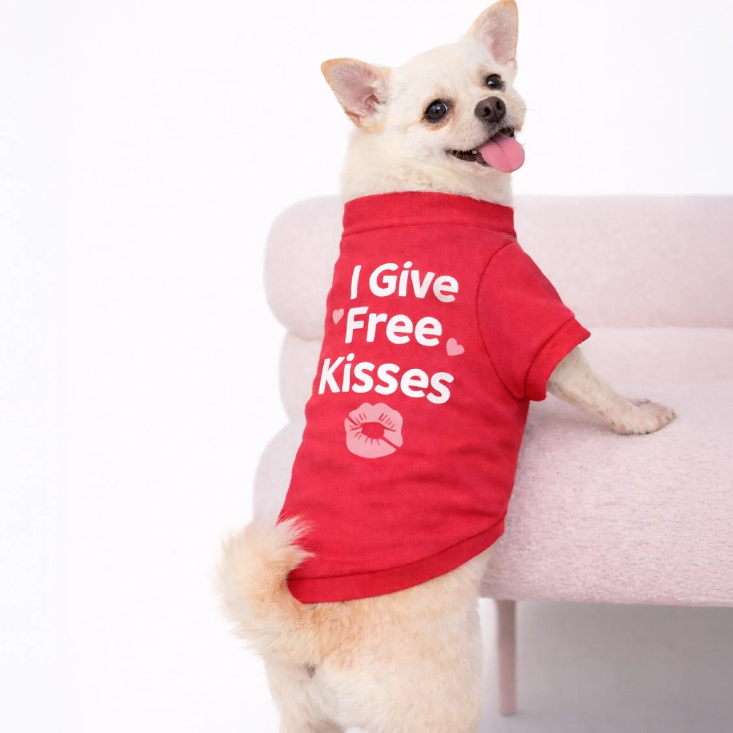 Heart Stealer T-Shirt – Printed Cotton T-Shirt for Small Pets