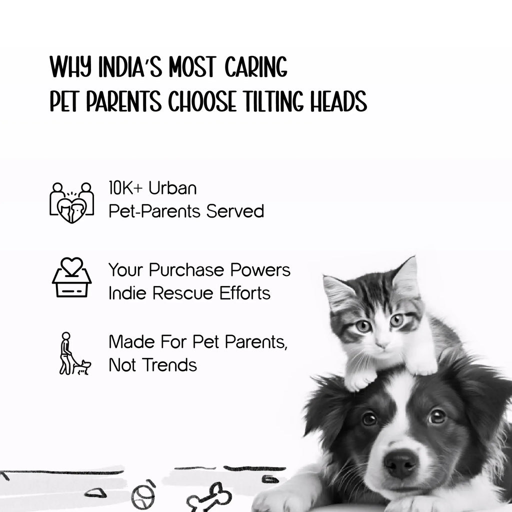 Heart Pop Tie – Pack of 8 Stylish Ties for Dogs & Cats