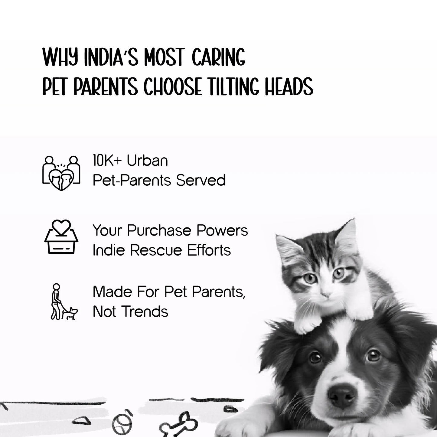 Roselyn Bed – 2-in-1 Convertible Lounge & Bed for Small Dogs & Cats