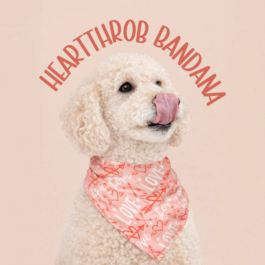 Heartthrob Bandana – Reversible Comfortable Bandana for Pets