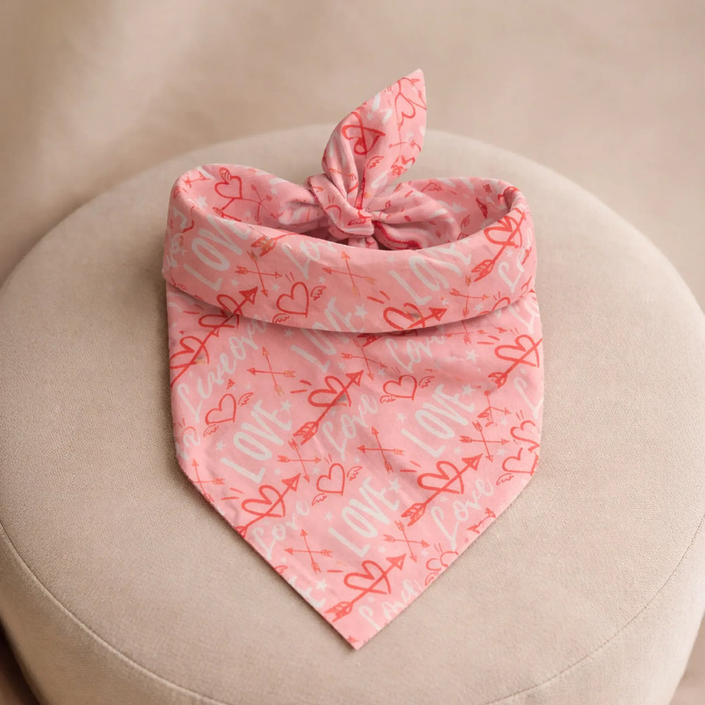 Heartthrob Bandana – Reversible Comfortable Bandana for Pets