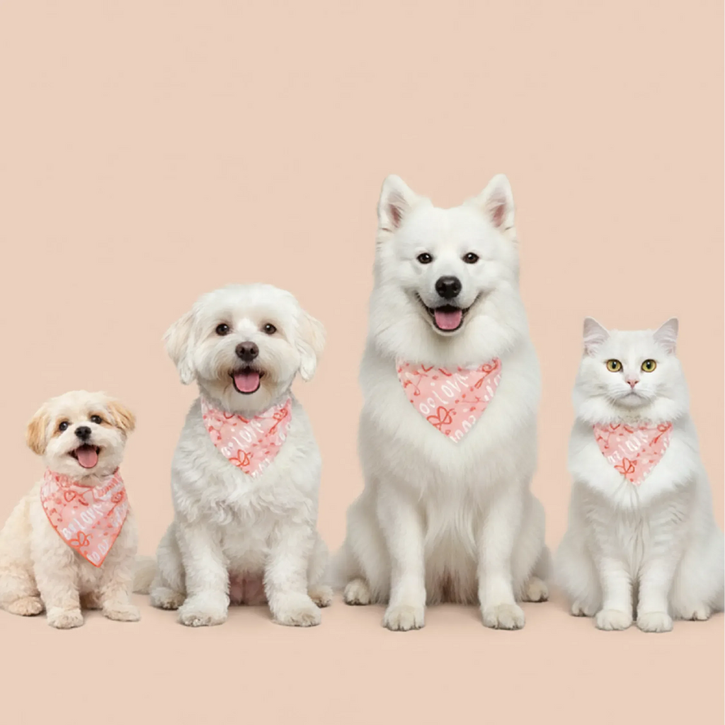 Heartthrob Bandana – Reversible Comfortable Bandana for Pets