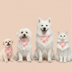Heartthrob Bandana – Reversible Comfortable Bandana for Pets