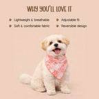 Heartthrob Bandana – Reversible Comfortable Bandana for Pets