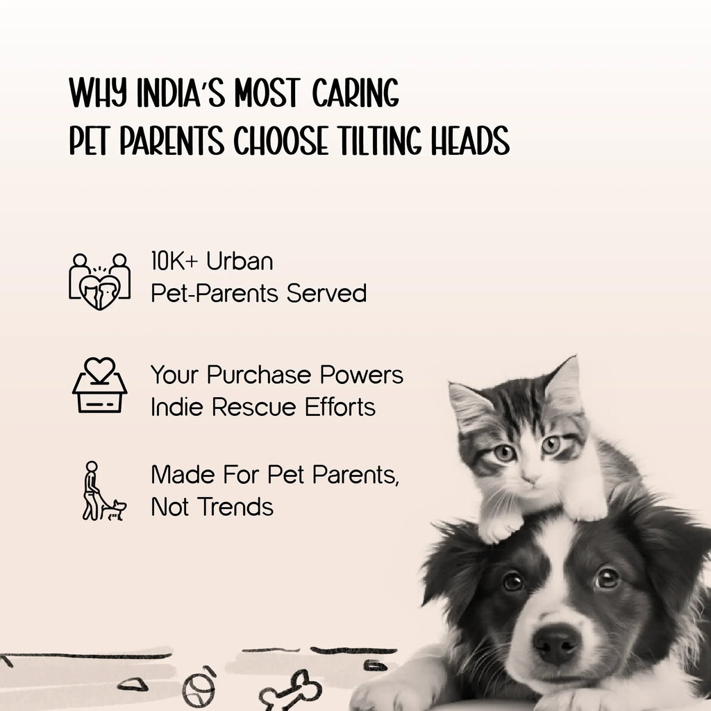Heartthrob Bandana – Reversible Comfortable Bandana for Pets