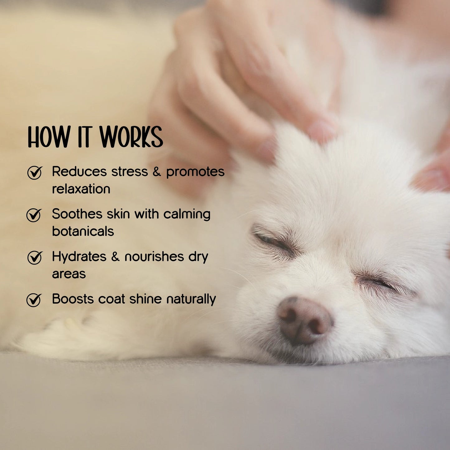 Herbal Coat Therapy Oil | Stress Relief & Relaxation | Natural, Safe Formulations