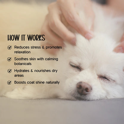Herbal Coat Therapy Oil | Stress Relief & Relaxation | Natural, Safe Formulations