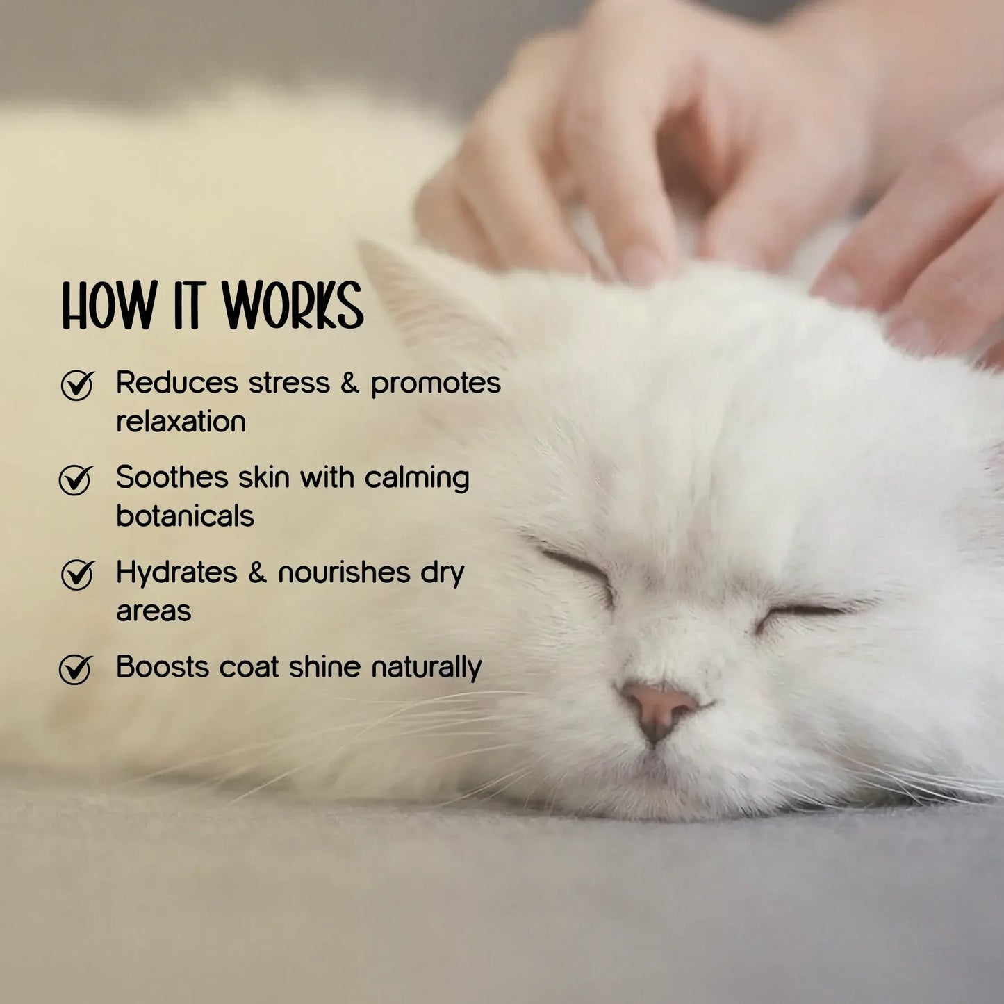 Herbal Coat Therapy Oil | Stress Relief & Relaxation | Natural, Safe Formulation for Dogs & Cats - Tilting Heads