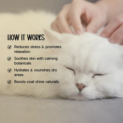 Herbal Coat Therapy Oil | Stress Relief & Relaxation | Natural, Safe Formulation for Dogs & Cats - Tilting Heads
