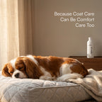 Herbal Coat Therapy Oil | Stress Relief & Relaxation | Natural, Safe Formulation for Dogs & Cats