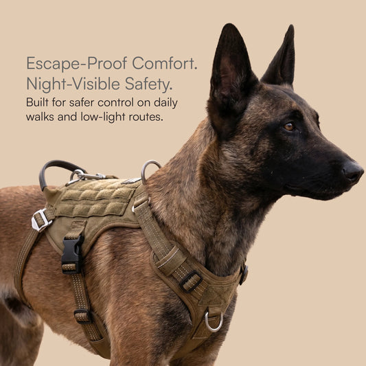 Ironclad Harness | Escape-Proof Comfort | Night-Visible Safety