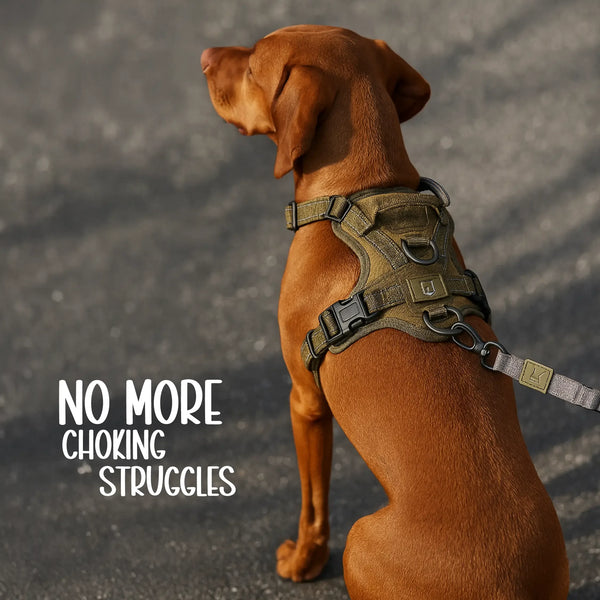 Ironclad Harness | Escape-Proof Comfort | Night-Visible Safety - Tilting Heads