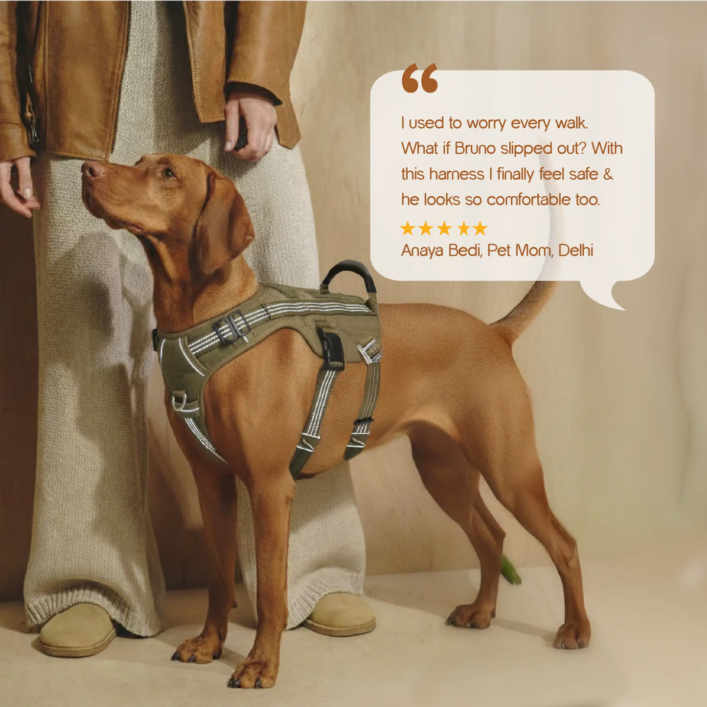Ironclad Harness | Escape-Proof Comfort | Night-Visible Safety