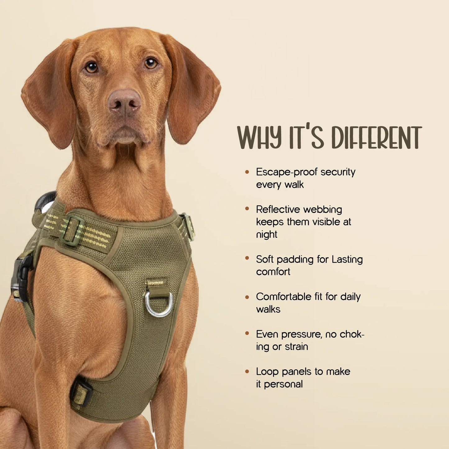 Ironclad Harness | Escape-Proof Comfort | Night-Visible Safety