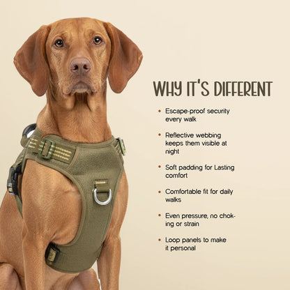 Ironclad Harness | Escape-Proof Comfort | Night-Visible Safety