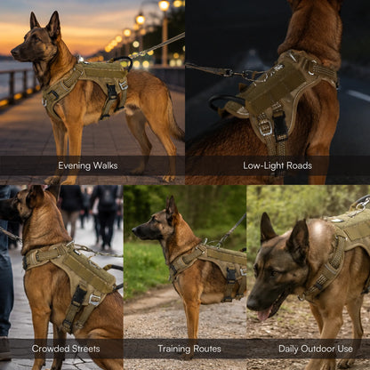 Ironclad Harness | Escape-Proof Comfort | Night-Visible Safety