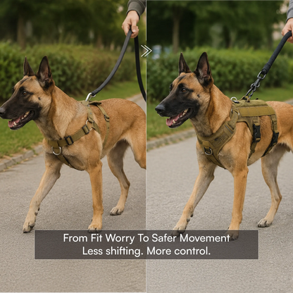 Ironclad Harness | Escape-Proof Comfort | Night-Visible Safety