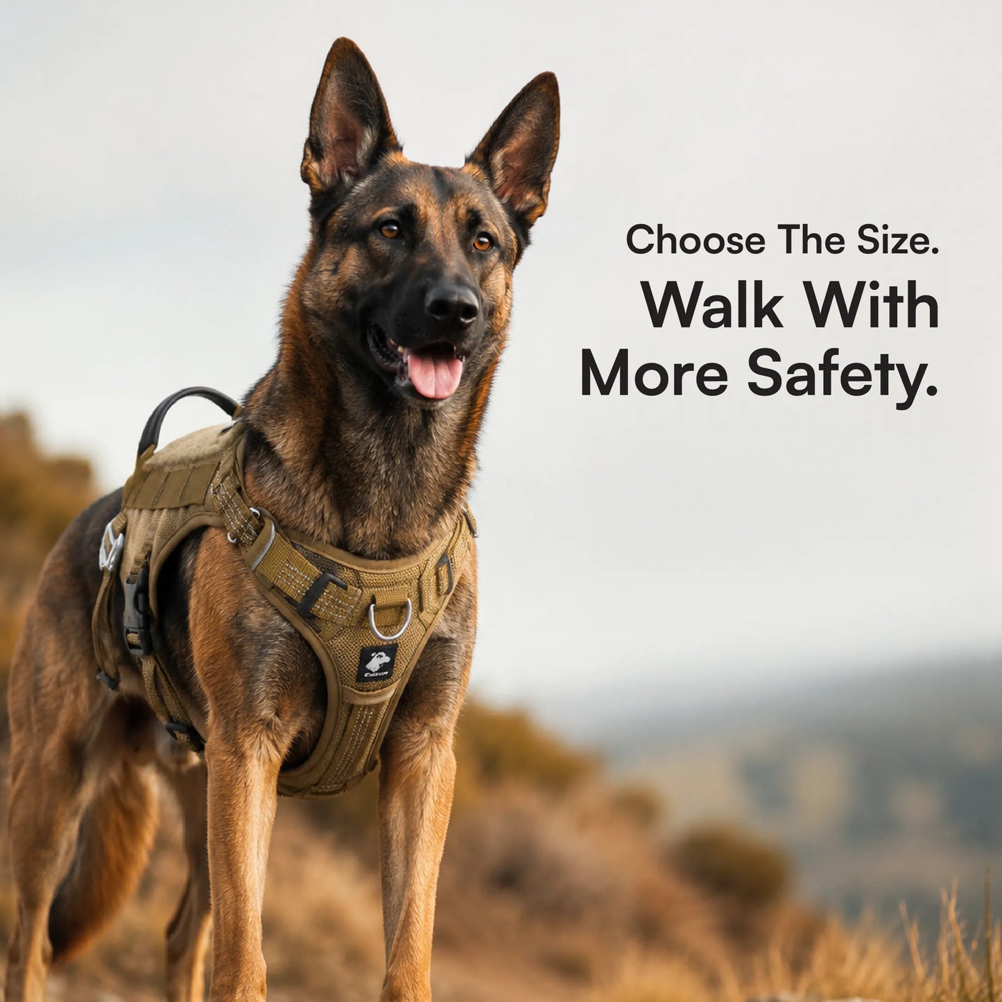 Ironclad Harness | Escape-Proof Comfort | Night-Visible Safety