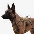 Ironclad Harness