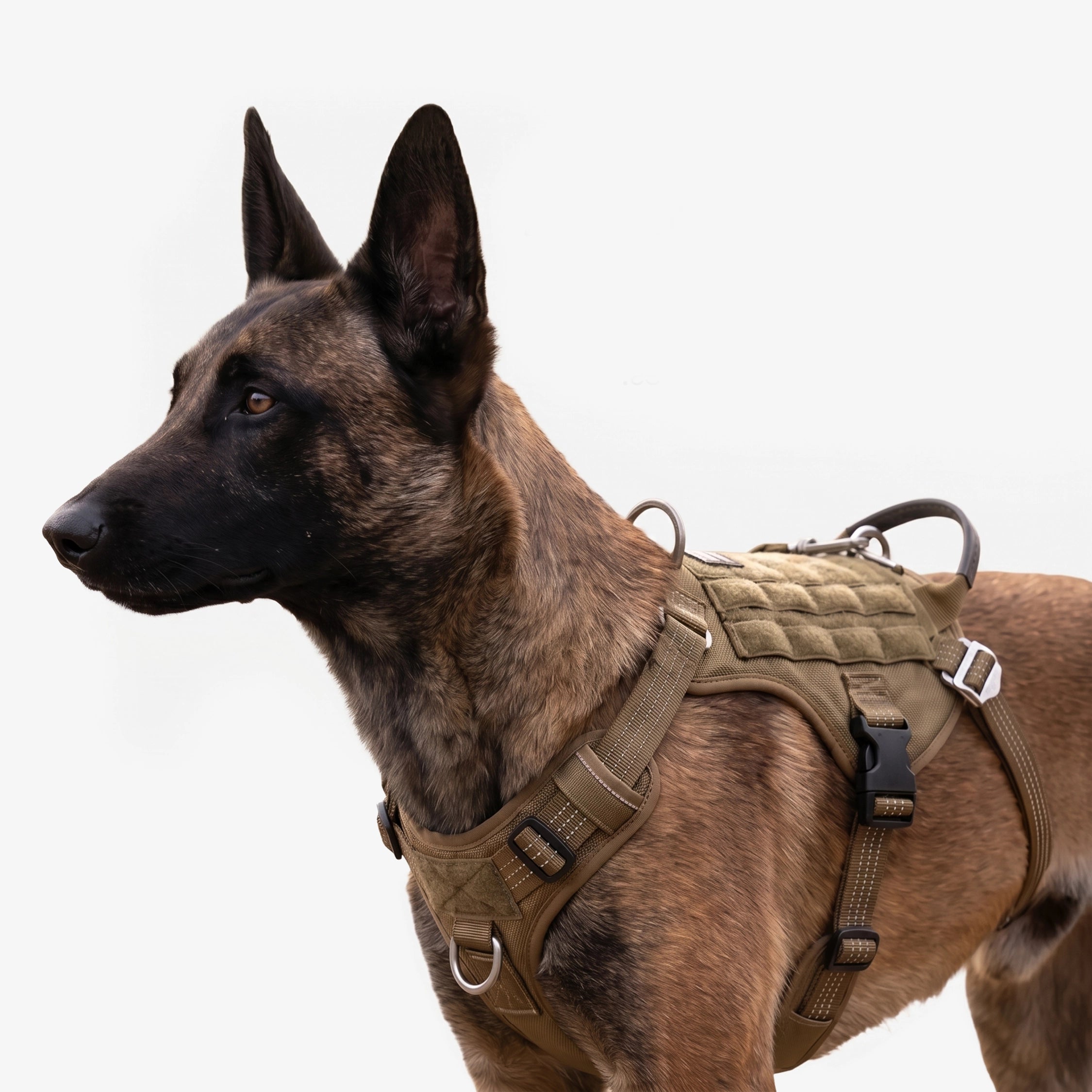 Ironclad Harness