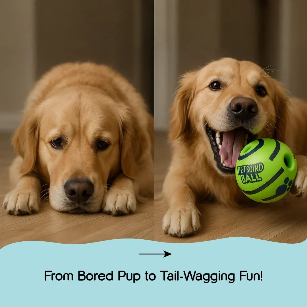 JoyBall – The Ultimate Giggle Toy for Happy, Healthy Dogs! - Tilting Heads
