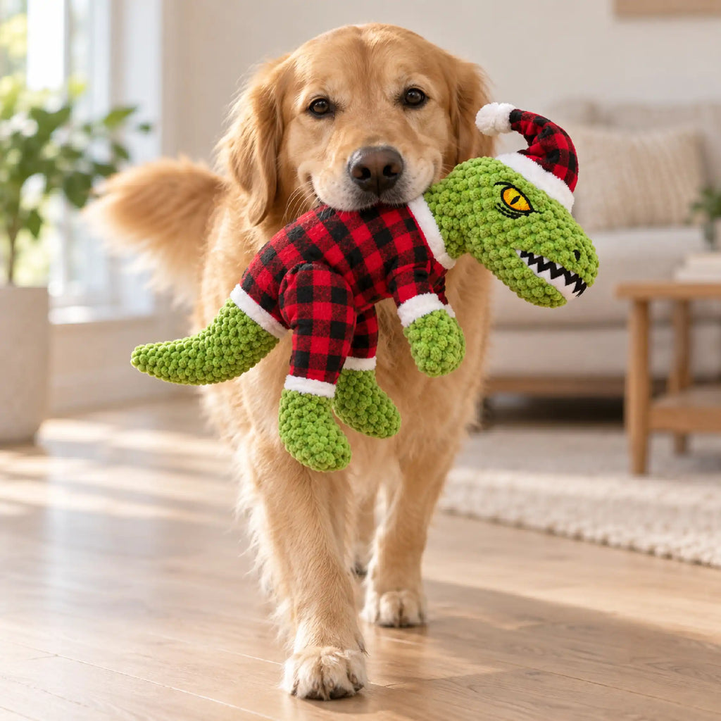 JingleDino Squeaky Toy