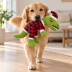 JingleDino Squeaky Toy