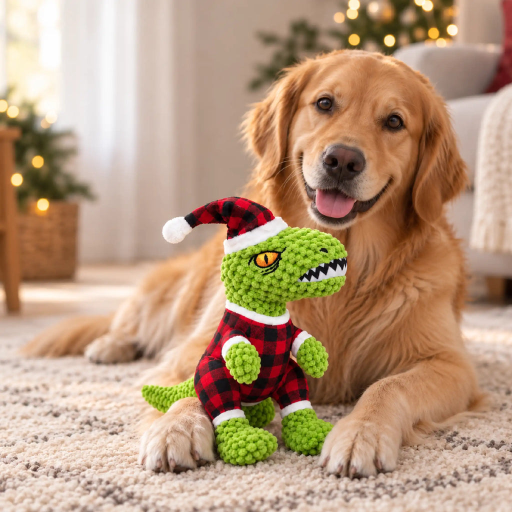 JingleDino Squeaky Toy