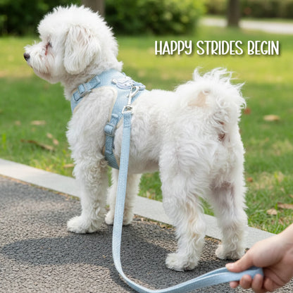 Kindred Harness | Stylish Safety | Comfort for Everyday Walks