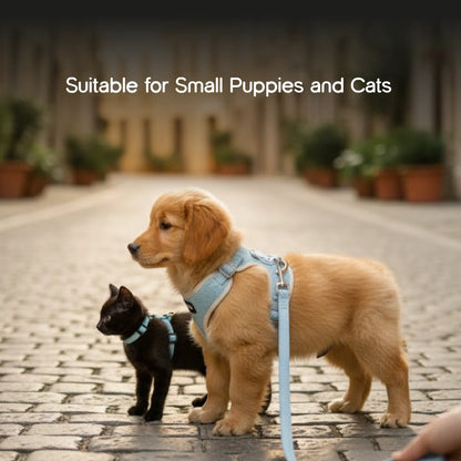 Kindred Harness | Stylish Safety | Comfort for Everyday Walks